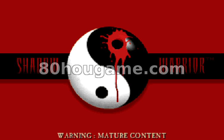 暗影武士封面