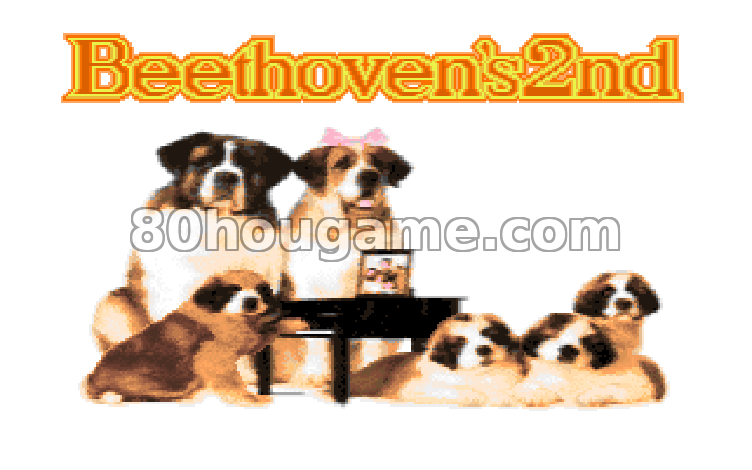 贝多芬二世犬封面
