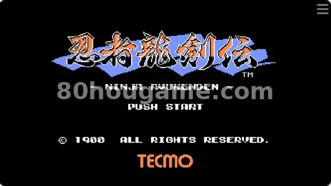 忍者龙剑传1可视化封面
