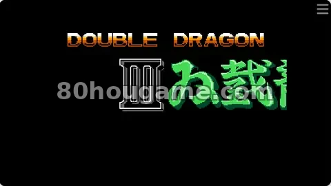 双截龙3可视化封面