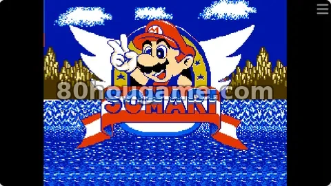 音速小子5代马里奥版封面