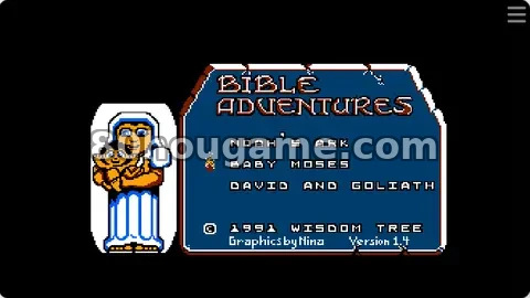圣经冒险/Bible Adventures封面