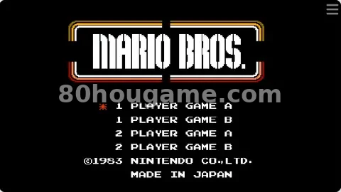 马里奥兄弟封面