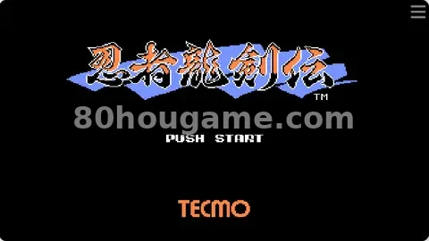 忍者龙剑传封面