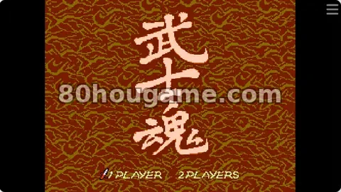 侍魂封面