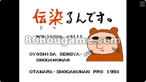 照相解谜封面