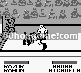 WWE擂台之王封面