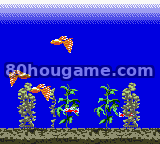 水族生活封面