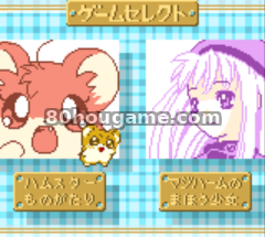 仓鼠物语GB魔法小少女封面