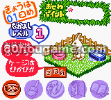 亲密宠物系列2可爱兔子封面