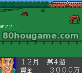世界赛马封面