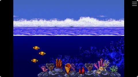 海豚历险记封面