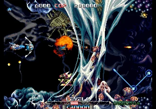 脉冲之星封面
