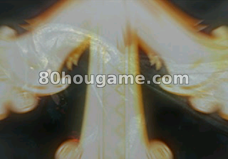 放浪冒险谭封面