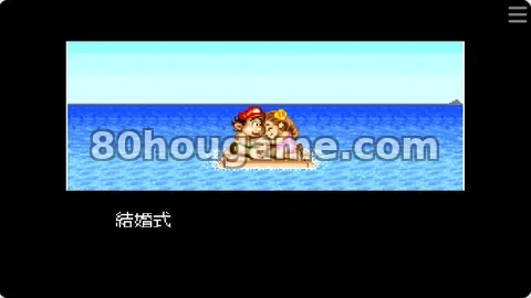 大冒险岛2封面