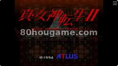 真女神转生2封面