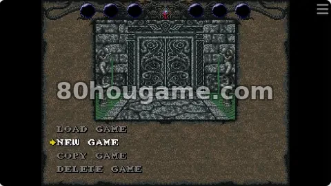 巫术6禁断的魔笔封面