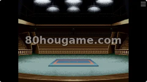 跆拳道封面