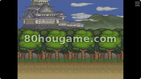 超级忍者君封面