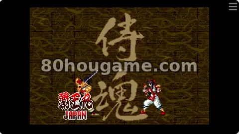 侍魂封面
