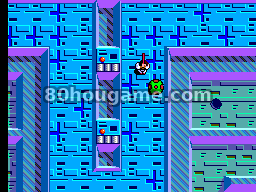 迷宫猎手3D封面